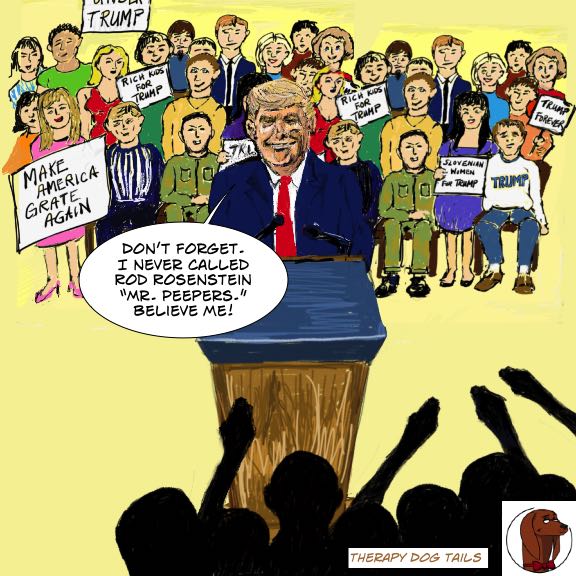 Trump Lie 1530