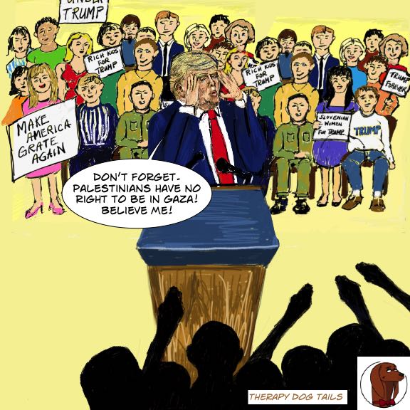 Trump Lie 2119